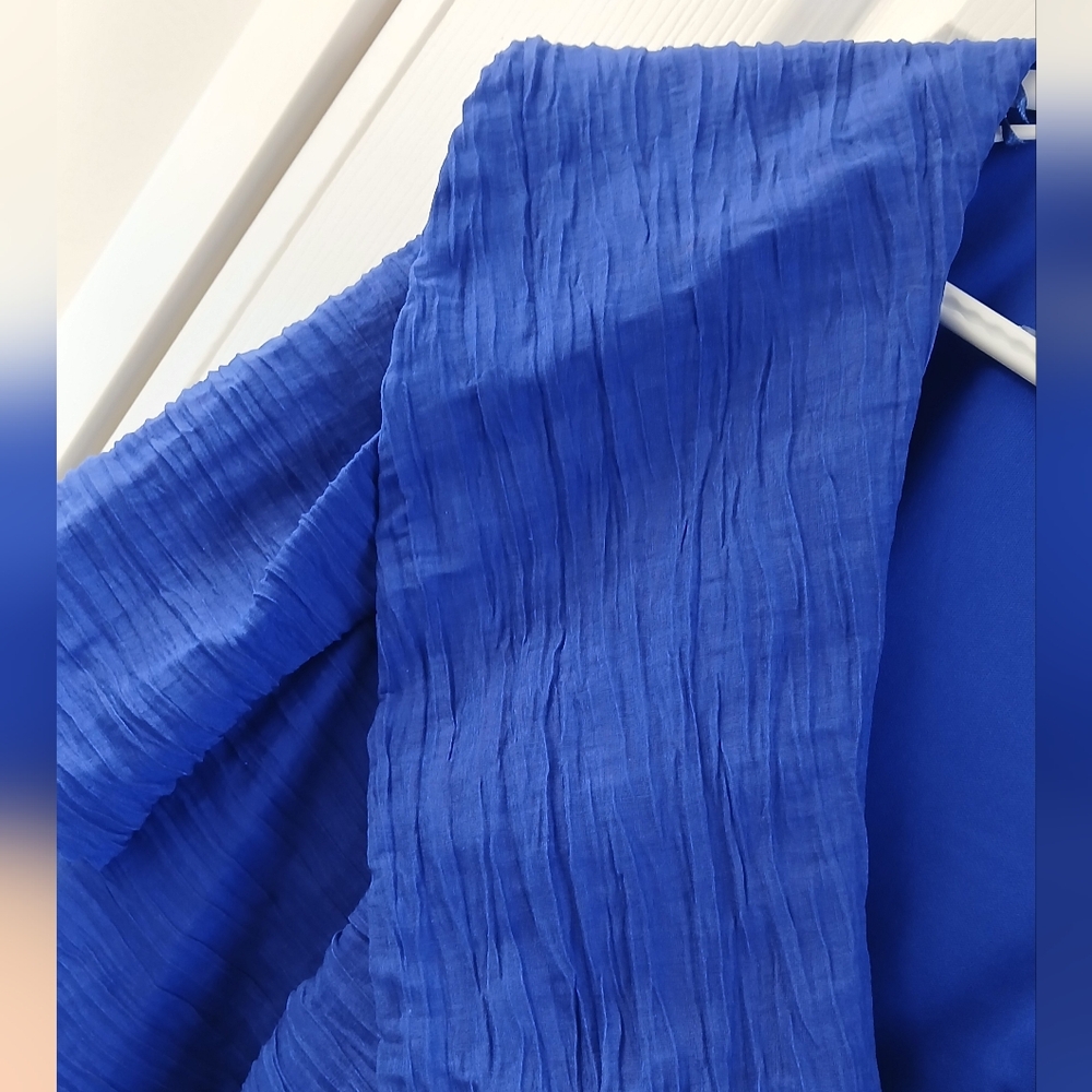 Alex Evenings Royal Blue Textured Short Sleeve Blouse with Brooch Accent - Picture 4 of 11